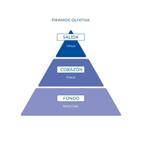 Aire de Sevilla - Eau de toilette para mujer 150ml - Azahar