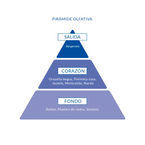 Aire de Sevilla - Eau de toilette para mujer 150ml - Chicca Bonita