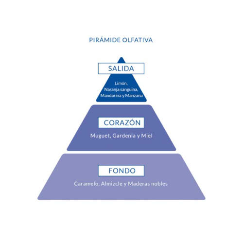 Aire de Sevilla - Eau de toilette para mujer 150ml - Oh My God!!