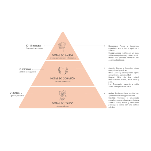 Alma Secret - *Home* - Ambientador mikado - Amber & Vanilla