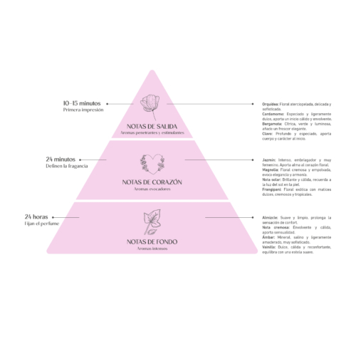 Alma Secret - *Home* - Ambientador mikado - Orchid & Jasmine