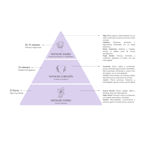 Alma Secret - *Home* - Ambientador mikado - Wild Fig & Praliné