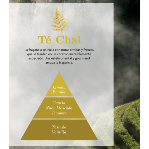 AMBAR Perfums - *Zen* - Ambientador mikado - Activación: Té Chai