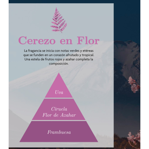 AMBAR Perfums - *Zen* - Ambientador mikado - Renacer: Cerezo en flor