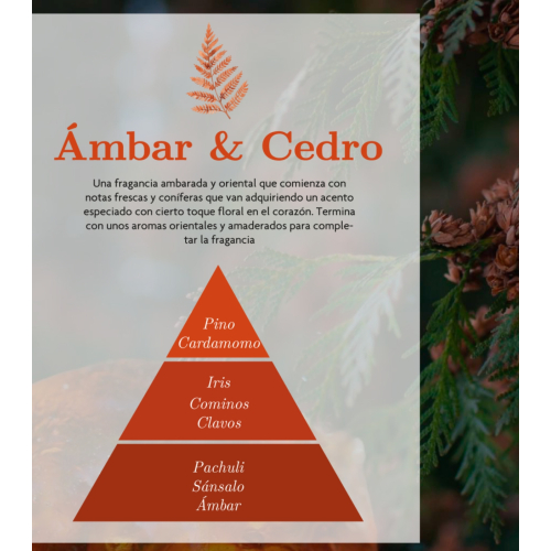 AMBAR Perfums - *Zen* - Ambientador para coche - Fortaleza: Ámbar y Cedro