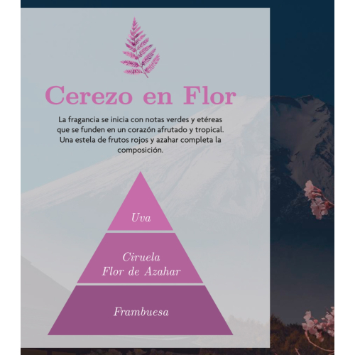 AMBAR Perfums - *Zen* - Esencia hidrosoluble - Renacer: Cerezo en flor