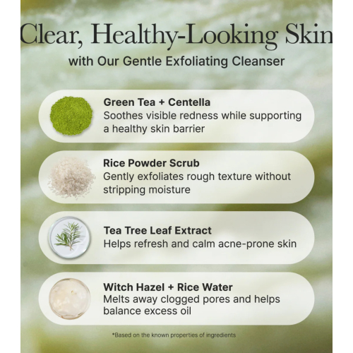 Arencia - Limpiador facial Fresh Green Rice Mochi