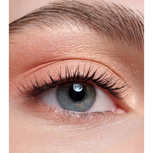 Catrice - Paleta de sombras de ojos The Warm Honey