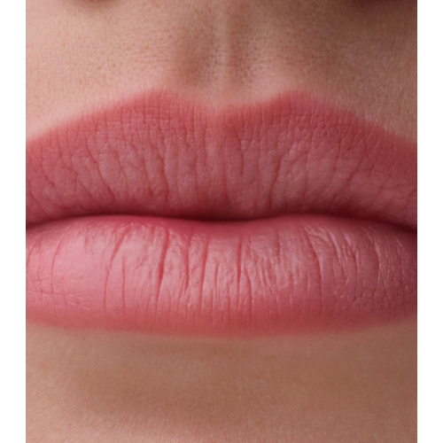 Catrice - Perffilador de labios Blur-Real - 020: Snatched