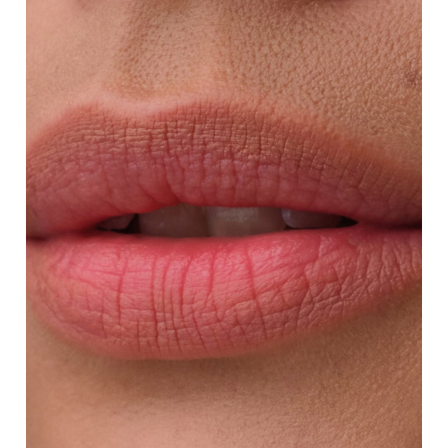 Catrice - Perffilador de labios Blur-Real - 030: Defined