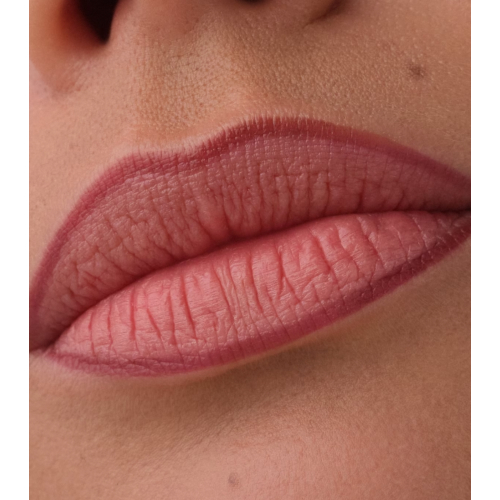 Catrice - Perfilador de labios Precision Ink - 010: Hold Tight