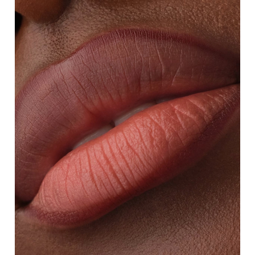 Catrice - Perfilador de labios Precision Ink - 020: Never Yours
