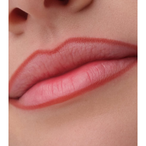 Catrice - Perfilador de labios Precision Ink - 020: Never Yours