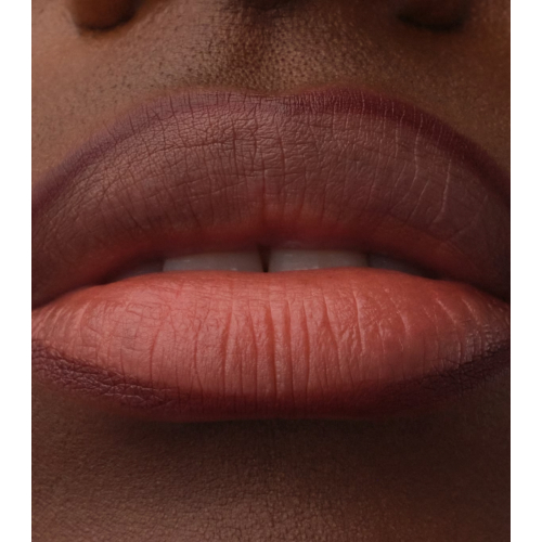 Catrice - Perfilador de labios Precision Ink - 040: Always Mine