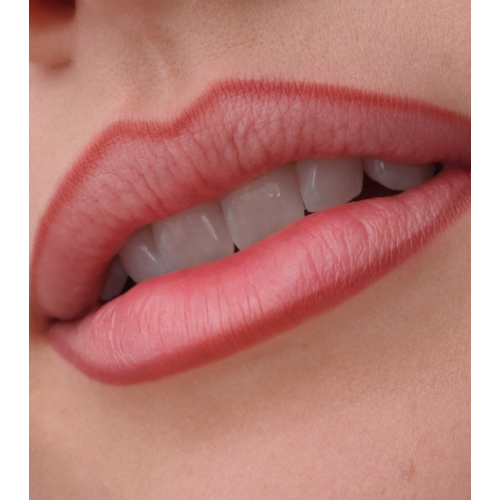 Catrice - Perfilador de labios Precision Ink - 040: Always Mine