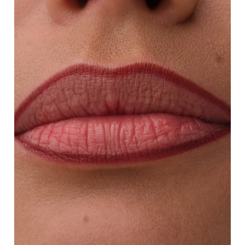 Catrice - Perfilador de labios Precision Ink - 050: Dressed In Drama