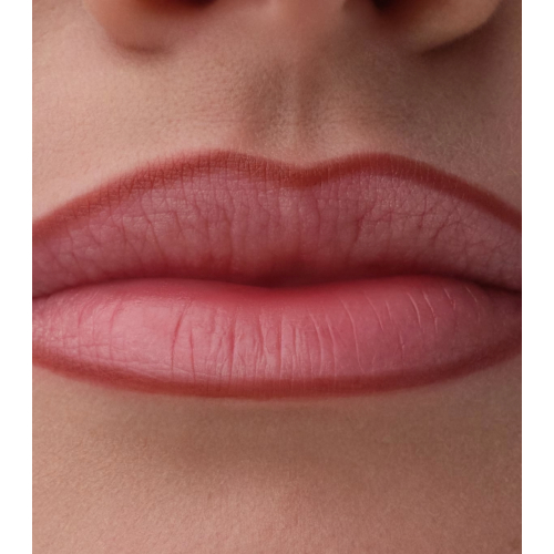 Catrice - Perfilador de labios Precision Ink - 060: Kept Close