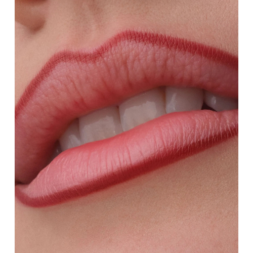 Catrice - Perfilador de labios Precision Ink - 080: Lines In Loyality