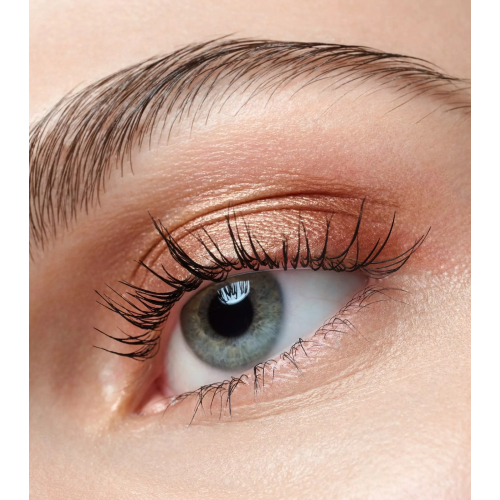 Catrice - Sombra de ojos Art Couleurs - 440: Bronze Bliss