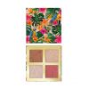 Catrice - *Tropic Exotic* - Paleta de rostro - C01 : Touched by paradise
