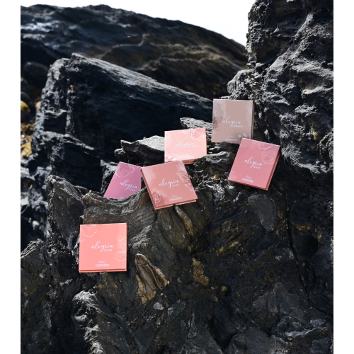 CORAZONA - *Colección Alegría x Alma* - Colorete en polvo - Caricia