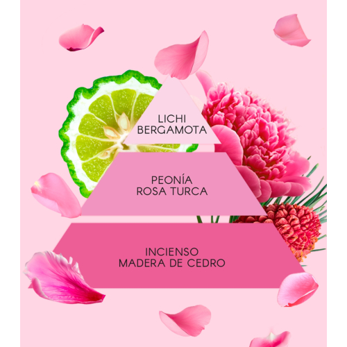 Don Algodon - Eau de toilette para mujer - La Vie en Rose