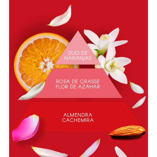 Don Algodon - Set de regalo Red Party