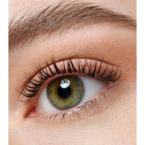 essence - Mini paleta de sombras de ojos the BROWN edition