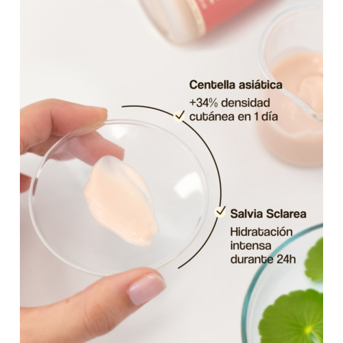 Freshly Cosmetics - Crema hidratante de día con Centella Asiática CICA Calm - Pieles secas y sensibles