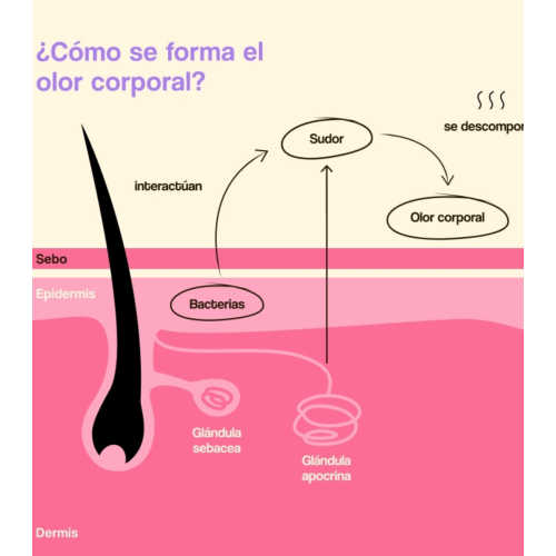 Freshly Cosmetics - Desodorante natural sin aluminio