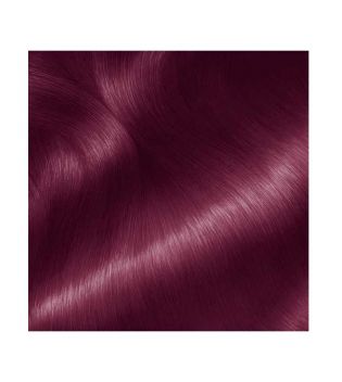 Garnier - Coloración Olia - 4.26: Violeta Eléctrico