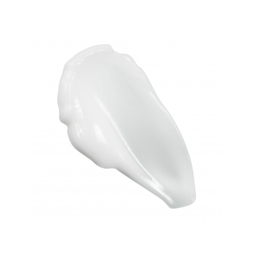 Hyeja - Crema hidratante facial Vegan Rice Probiotics Gentle Ferment