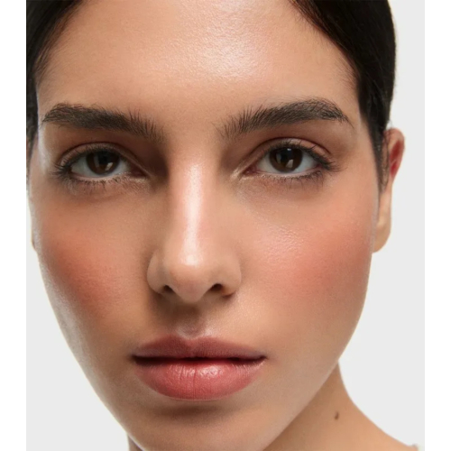 Inglot - Colorete en stick - 211: Rusty Pink