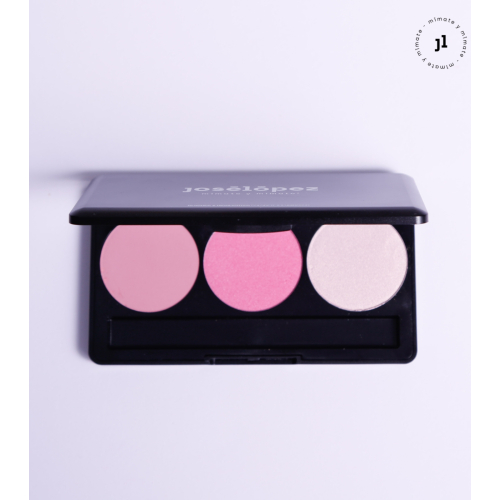 José López - Paleta de rostro - Cold Palette
