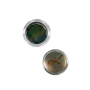 Karla Cosmetics - Pigmentos sueltos duocromo - Story Time