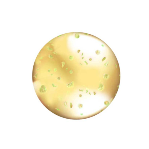 L.A Colors - Brillo de labios Lip Oil - CLG442: Hunnybun