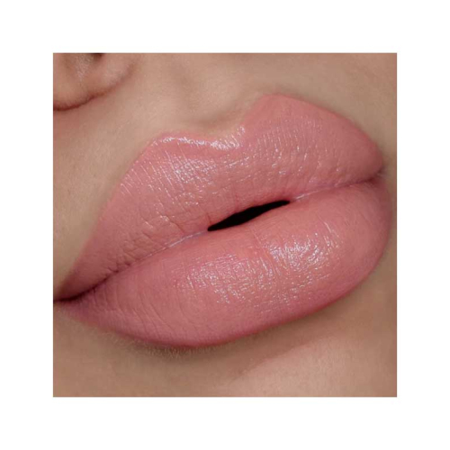 L.A. Girl - Barra de labios Pretty & Plump - Pout Please