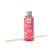 La Casa de los Aromas - Recarga ambientador mikado 100ml - Manzana Canela