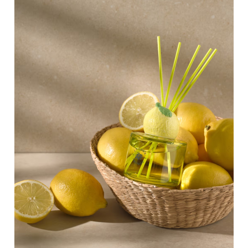 La Casa de los Aromas - *Reed Diffuser* - Ambientador mikado - Citrus Paradise