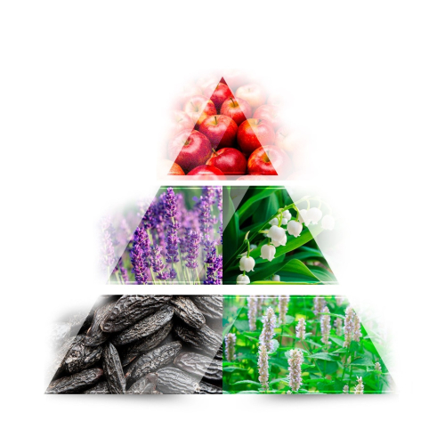 Lou de Pre -  Eau de parfum - Great in Black