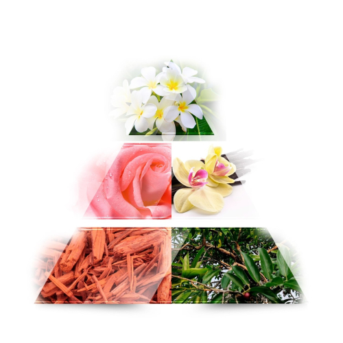 Lou de Pre -  Eau de parfum - Sweet Sahara