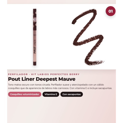 Makeup Revolution - Set de Perfilador de labios Pout Liner - Deepest Mauve + Barra de labios satinada Lip Allure - Material Girl Wine + Aceite labial en barra Jelly - Watermelon Crush Red