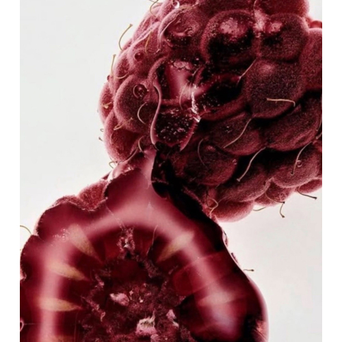 Maria Orbai - Brillo de labios Glossy Lip Butter - Açai Berry