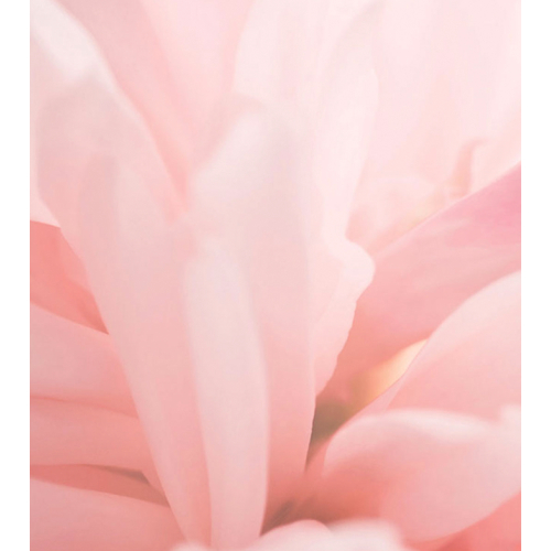 Maria Orbai - Colorete en bálsamo Tinted Cheek Balm - Blushed