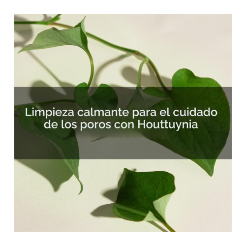 Mary & May - Limpiador facial en espuma purificante Houttuynia Cordata + Tea Tree