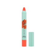 Max Factor - *Max Factor x Priyanka* - Barra de labios mate - 004: Orange Grace