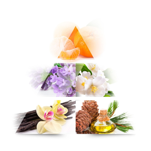 ONE AVENUE -  Eau de parfum - Goldie