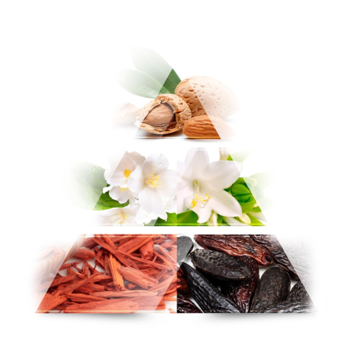 ONE AVENUE -  Eau de parfum - Jasmine