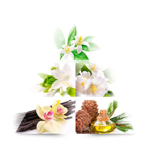 ONE AVENUE -  Eau de parfum - Magnolia