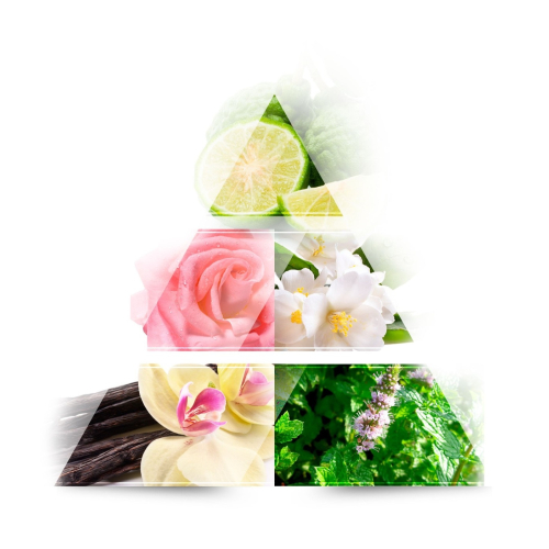 ONE AVENUE -  Eau de parfum - Orchid